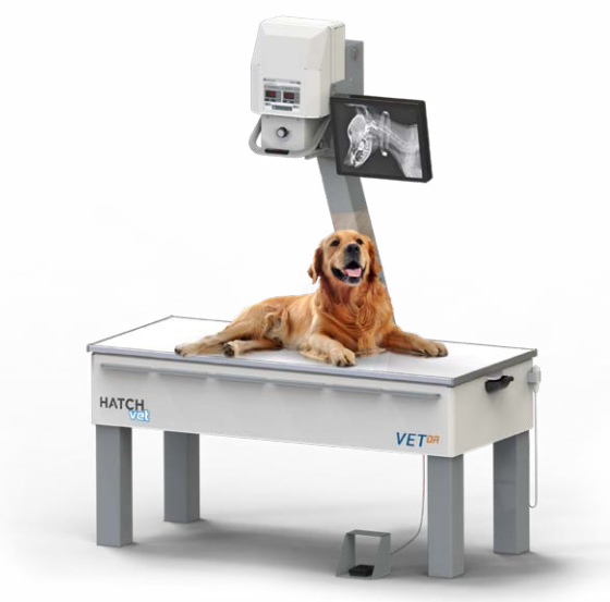 X-Ray Table with Dog Sitting on Table